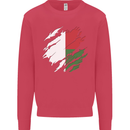Torn Madagascar Flag Madagascan Day Football Kids Sweatshirt Jumper Heliconia