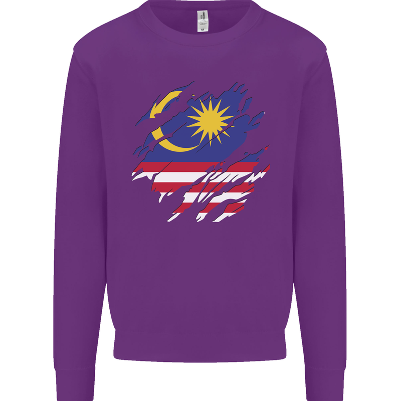 Torn Malaysia Flag Malaysian Day Football Kids Sweatshirt Jumper Purple