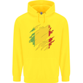 Torn Mali Flag Malian Day Football Childrens Kids Hoodie Yellow