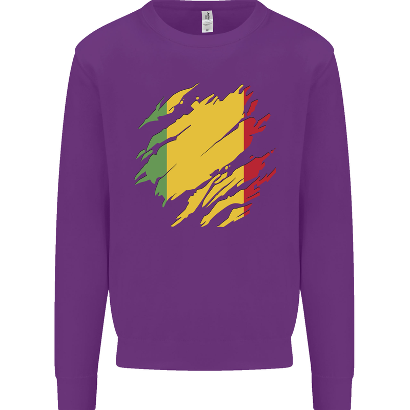 Torn Mali Flag Malian Day Football Kids Sweatshirt Jumper Purple