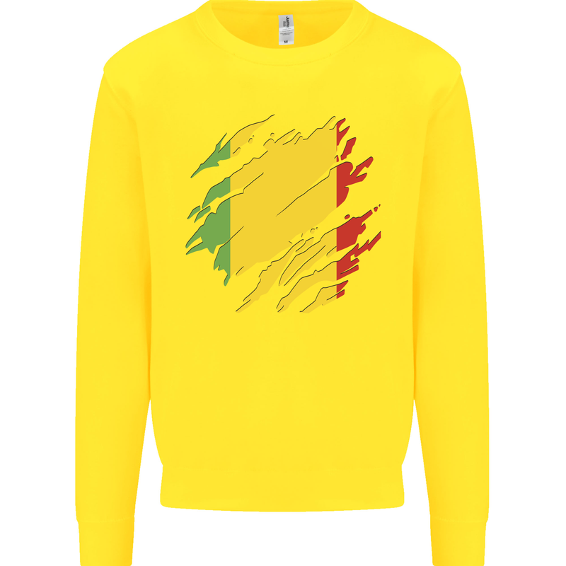 Torn Mali Flag Malian Day Football Kids Sweatshirt Jumper Yellow