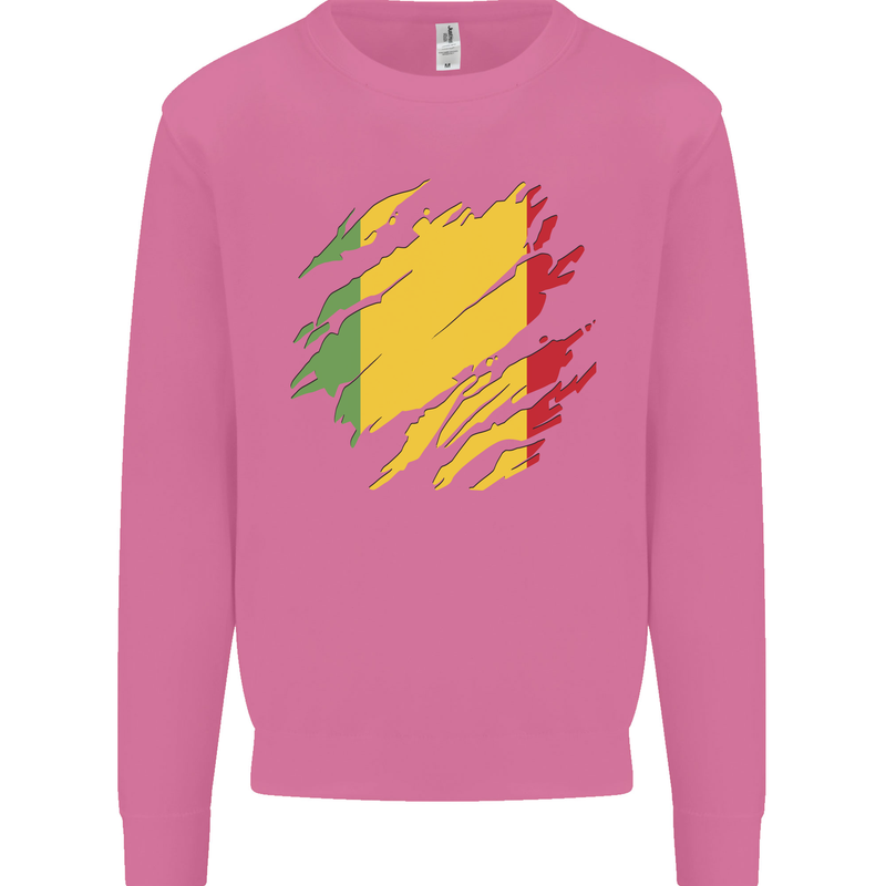 Torn Mali Flag Malian Day Football Mens Sweatshirt Jumper Azalea