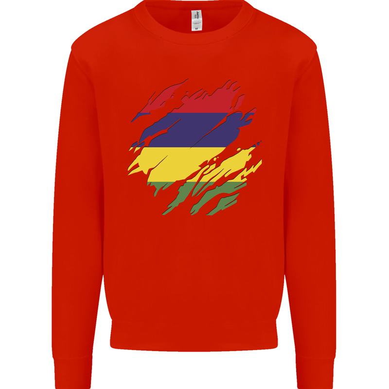 Torn Mauritius Flag Mauritians Day Football Kids Sweatshirt Jumper Bright Red