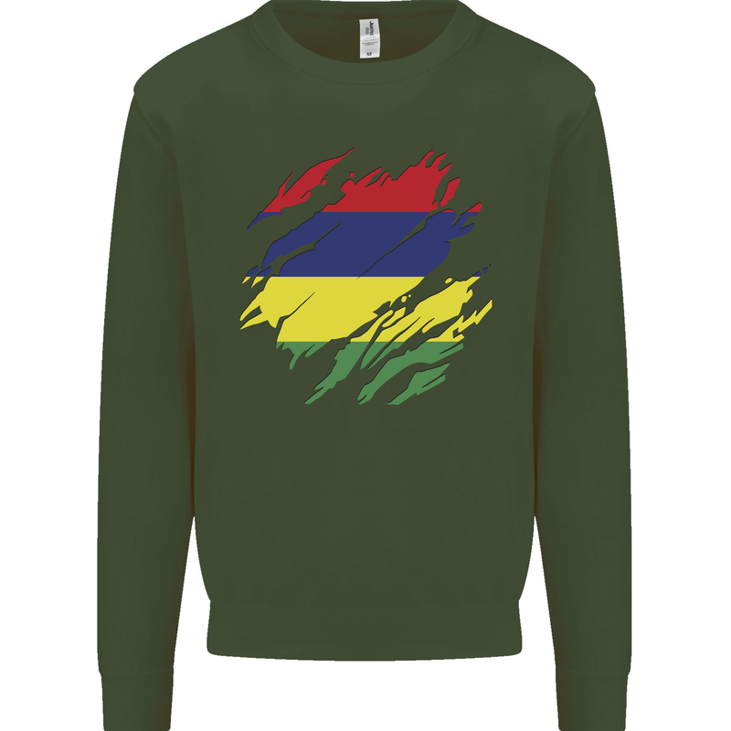 Torn Mauritius Flag Mauritians Day Football Kids Sweatshirt Jumper Forest Green