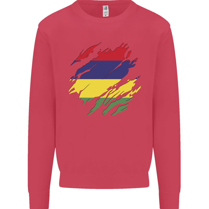 Torn Mauritius Flag Mauritians Day Football Kids Sweatshirt Jumper Heliconia