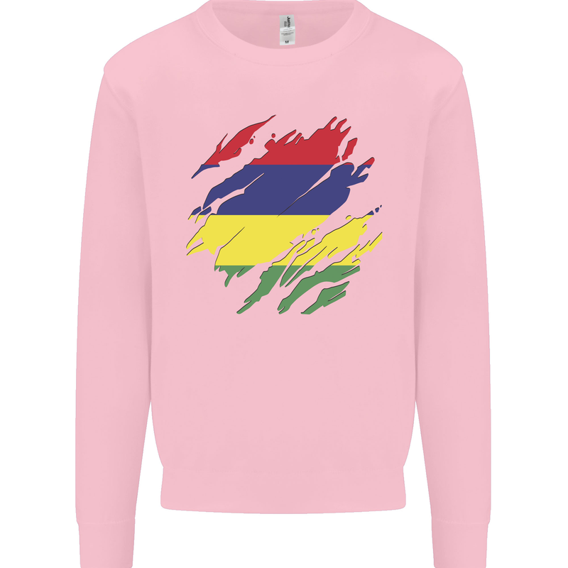 Torn Mauritius Flag Mauritians Day Football Kids Sweatshirt Jumper Light Pink