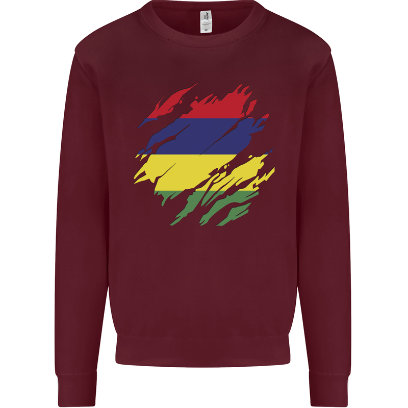 Torn Mauritius Flag Mauritians Day Football Kids Sweatshirt Jumper Maroon