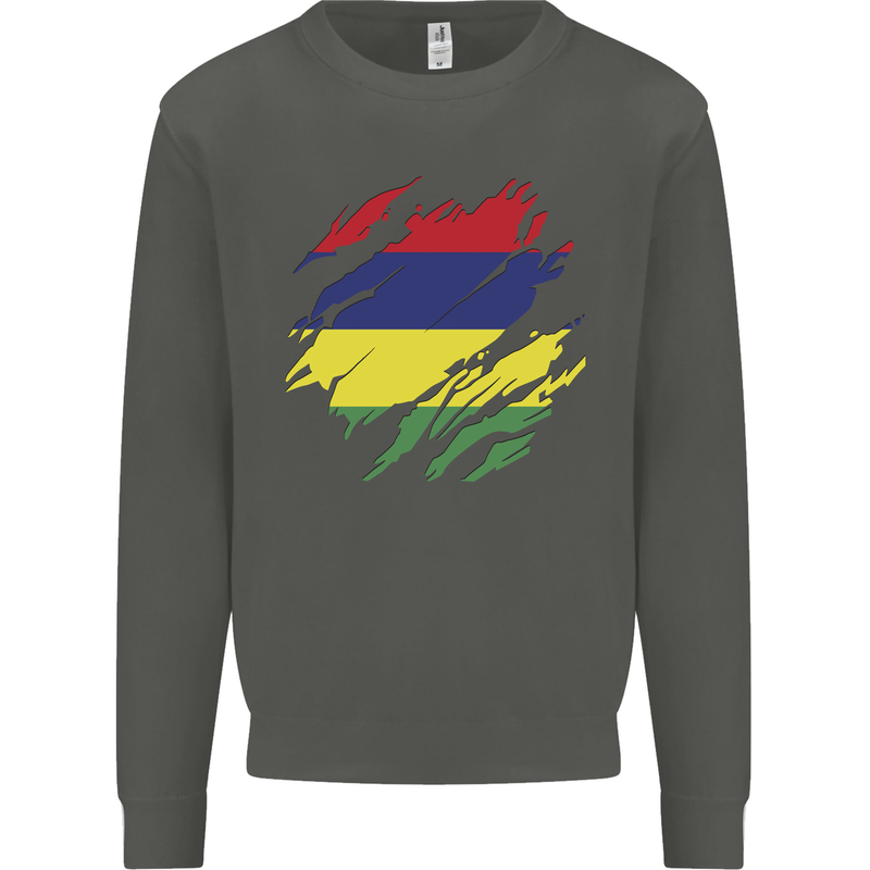 Torn Mauritius Flag Mauritians Day Football Kids Sweatshirt Jumper Storm Grey