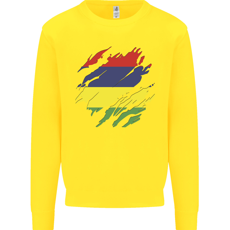 Torn Mauritius Flag Mauritians Day Football Kids Sweatshirt Jumper Yellow