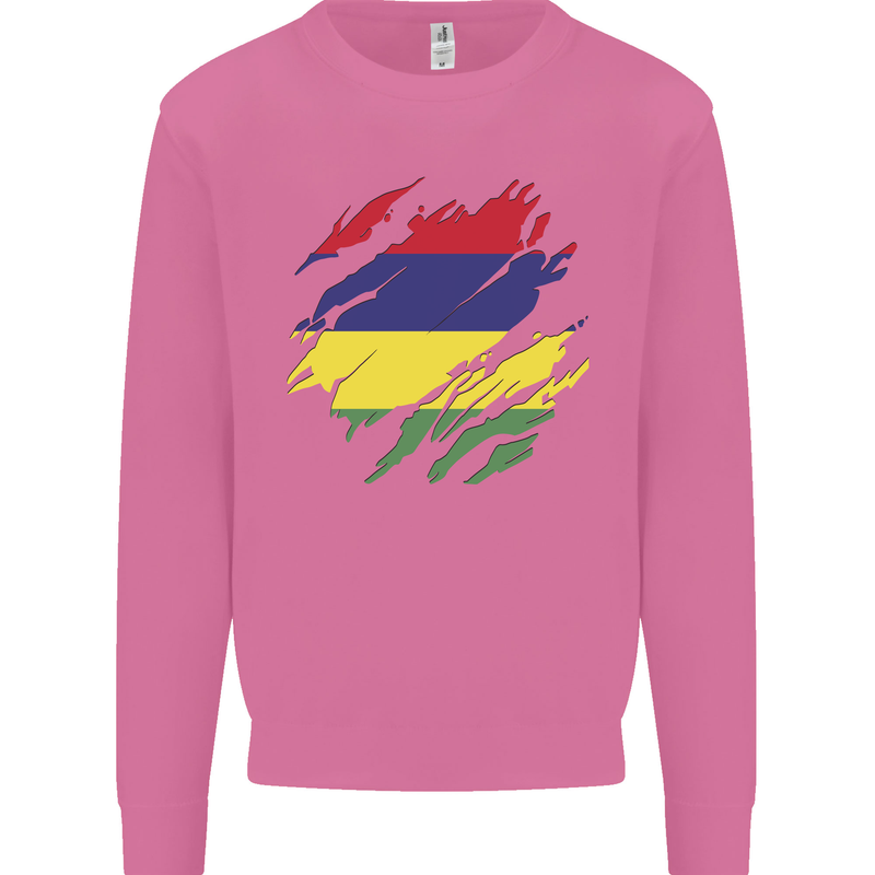 Torn Mauritius Flag Mauritians Day Football Mens Sweatshirt Jumper Azalea