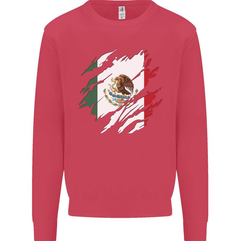 Torn Mexico Flag Mexican Day Football Kids Sweatshirt Jumper Heliconia