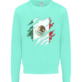 Torn Mexico Flag Mexican Day Football Kids Sweatshirt Jumper Peppermint