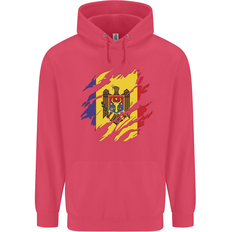Torn Moldova Flag Moldovan Day Football Childrens Kids Hoodie Heliconia