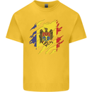 Torn Moldova Flag Moldovan Day Football Kids T-Shirt Childrens Yellow