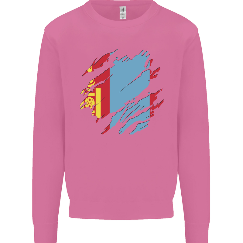 Torn Mongolia Flag Mongolian Day Football Mens Sweatshirt Jumper Azalea
