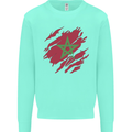 Torn Morocco Flag Moroccan Day Football Kids Sweatshirt Jumper Peppermint