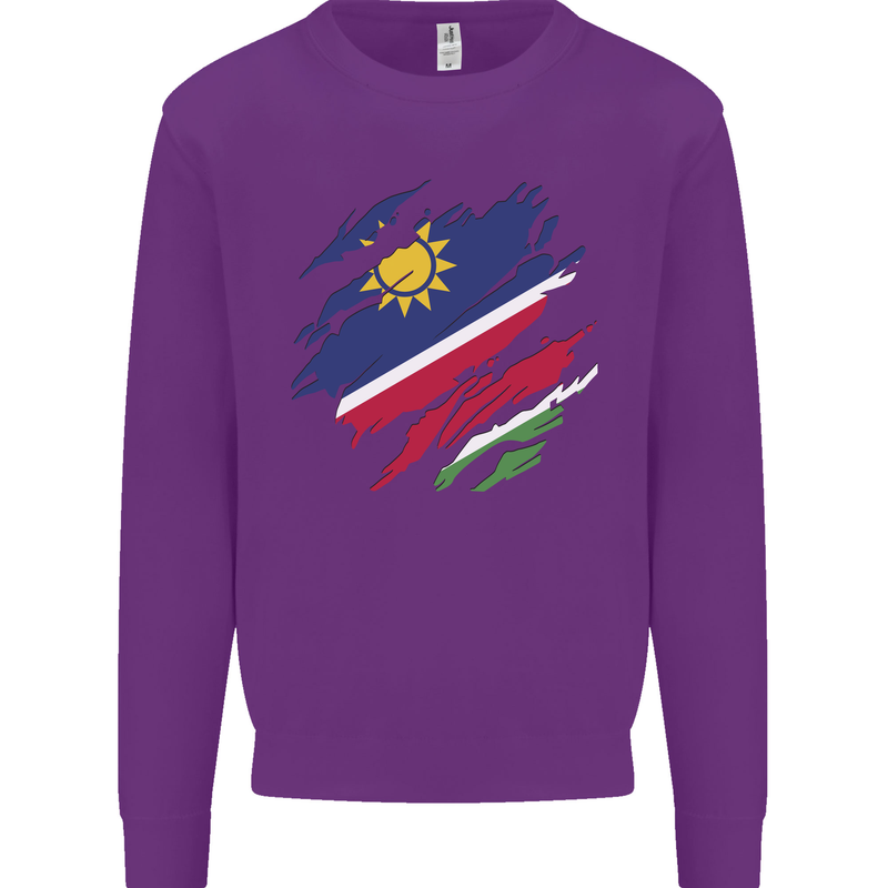 Torn Namibia Flag Namibian Day Football Kids Sweatshirt Jumper Purple