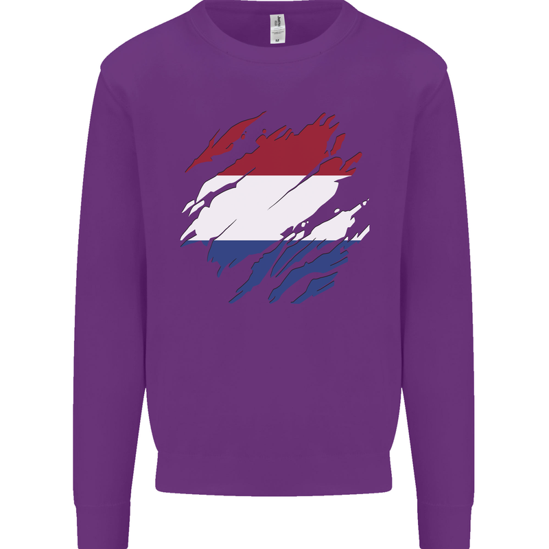 Torn Netherlands Flag Holland Dutch Day Football Kids Sweatshirt Jumper Purple