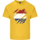 Torn Netherlands Flag Holland Dutch Day Football Kids T-Shirt Childrens Yellow