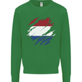 Torn Netherlands Flag Holland Dutch Day Football Mens Sweatshirt Jumper Irish Green