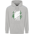 Torn Nigeria Flag Nigerian Day Football Childrens Kids Hoodie Sports Grey