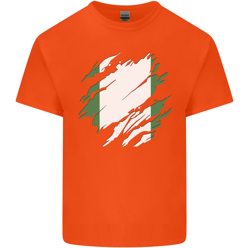 Torn Nigeria Flag Nigerian Day Football Kids T-Shirt Childrens Orange