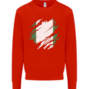 Torn Nigeria Flag Nigerian Day Football Mens Sweatshirt Jumper Bright Red