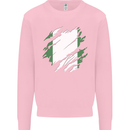 Torn Nigeria Flag Nigerian Day Football Mens Sweatshirt Jumper Light Pink