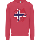 Torn Norway Flag Norwegian Day Football Kids Sweatshirt Jumper Heliconia