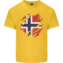 Torn Norway Flag Norwegian Day Football Kids T-Shirt Childrens Yellow