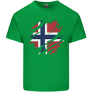 Torn Norway Flag Norwegian Day Football Mens Cotton T-Shirt Tee Top Irish Green