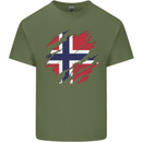 Torn Norway Flag Norwegian Day Football Mens Cotton T-Shirt Tee Top Military Green