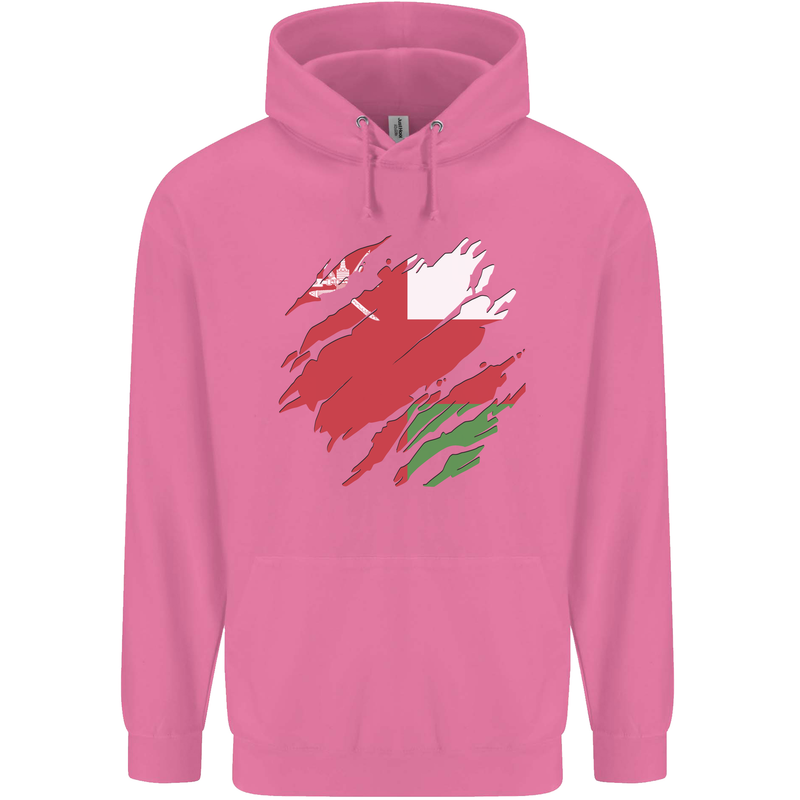 Torn Oman Flag Omani Day Football Childrens Kids Hoodie Azalea