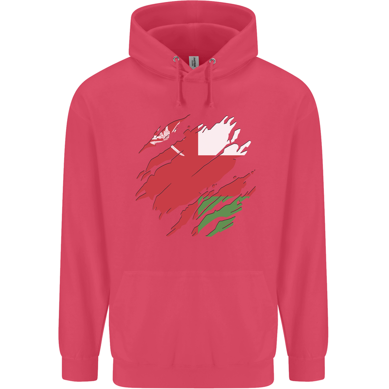 Torn Oman Flag Omani Day Football Childrens Kids Hoodie Heliconia