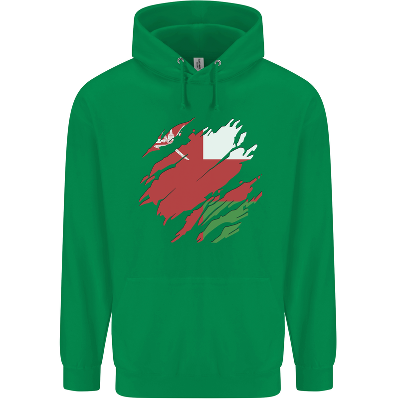 Torn Oman Flag Omani Day Football Childrens Kids Hoodie Irish Green