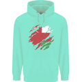 Torn Oman Flag Omani Day Football Childrens Kids Hoodie Peppermint