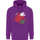Torn Oman Flag Omani Day Football Childrens Kids Hoodie Purple
