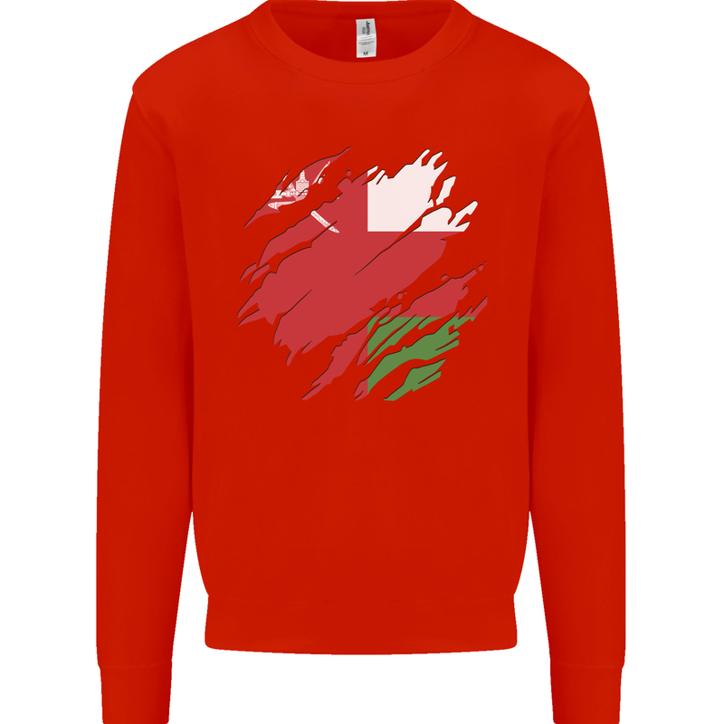 Torn Oman Flag Omani Day Football Kids Sweatshirt Jumper Bright Red