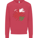 Torn Oman Flag Omani Day Football Kids Sweatshirt Jumper Heliconia