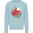 Torn Oman Flag Omani Day Football Kids Sweatshirt Jumper Light Blue