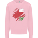 Torn Oman Flag Omani Day Football Kids Sweatshirt Jumper Light Pink