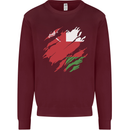 Torn Oman Flag Omani Day Football Kids Sweatshirt Jumper Maroon