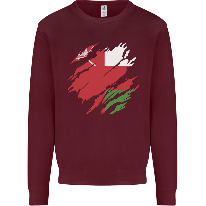 Torn Oman Flag Omani Day Football Kids Sweatshirt Jumper Maroon