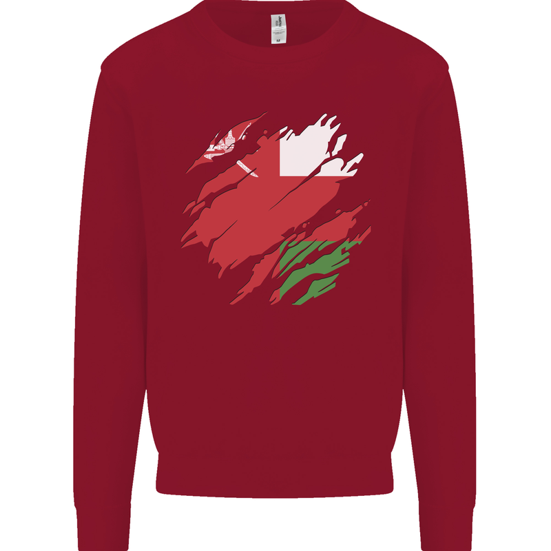 Torn Oman Flag Omani Day Football Kids Sweatshirt Jumper Red