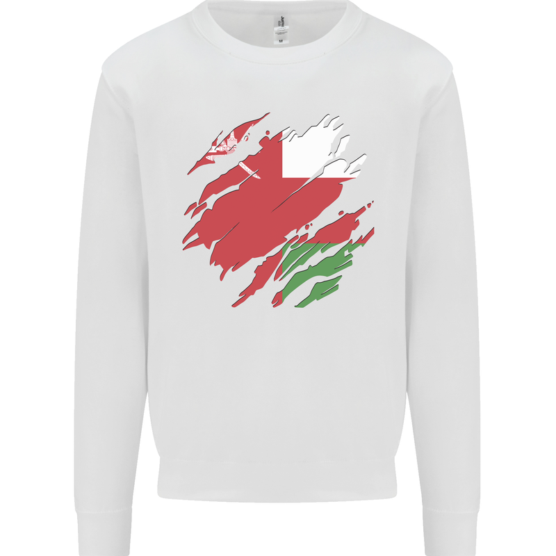 Torn Oman Flag Omani Day Football Kids Sweatshirt Jumper White