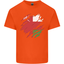 Torn Oman Flag Omani Day Football Kids T-Shirt Childrens Orange