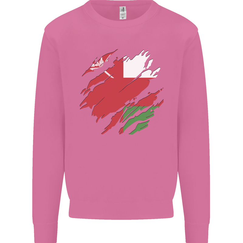 Torn Oman Flag Omani Day Football Mens Sweatshirt Jumper Azalea