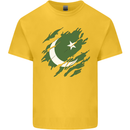 Torn Pakistan Flag Pakistani Day Football Kids T-Shirt Childrens Yellow