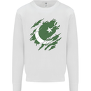 Torn Pakistan Flag Pakistani Day Football Mens Sweatshirt Jumper White