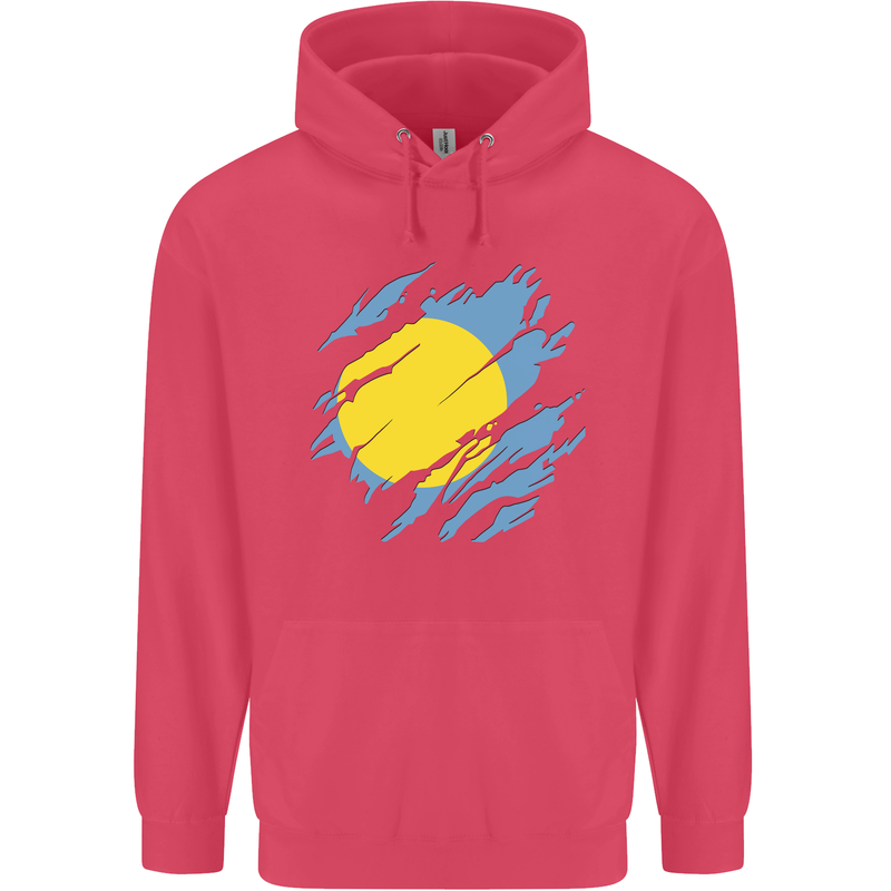 Torn Palau Flag Palauan Day Football Childrens Kids Hoodie Heliconia